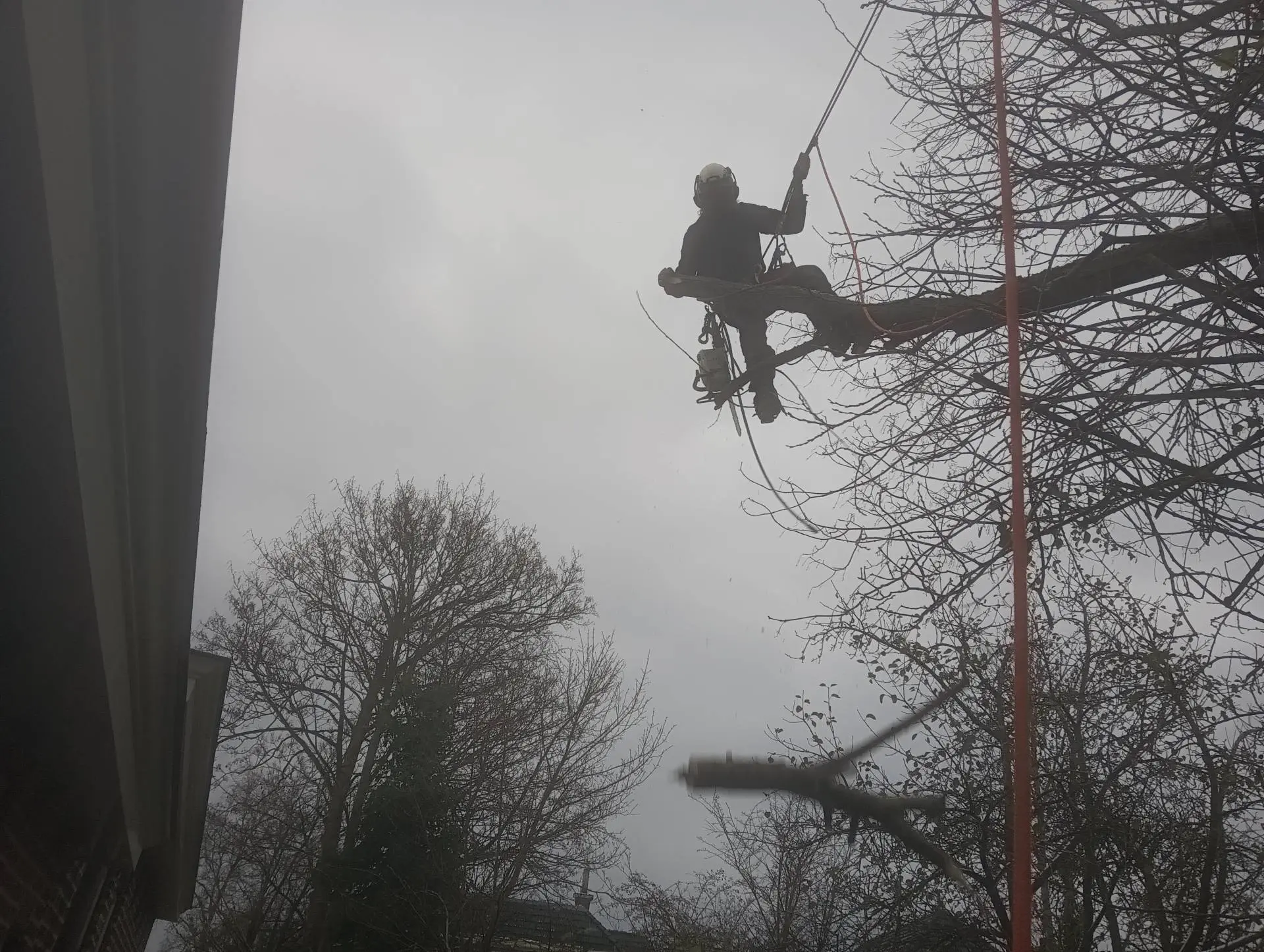 Leo hangend aan touwen zaagt een tak af naast een woning