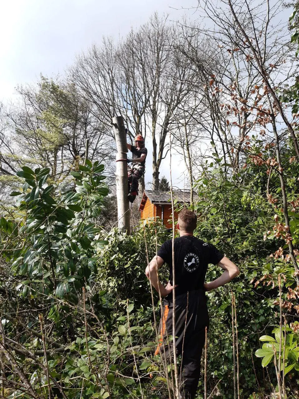 Overleg in de tuin: samen omhoog kijken naar de boom